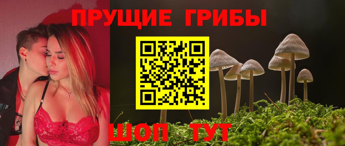 Псилоцибиновые грибы GOLDEN TEACHER Первоуральск